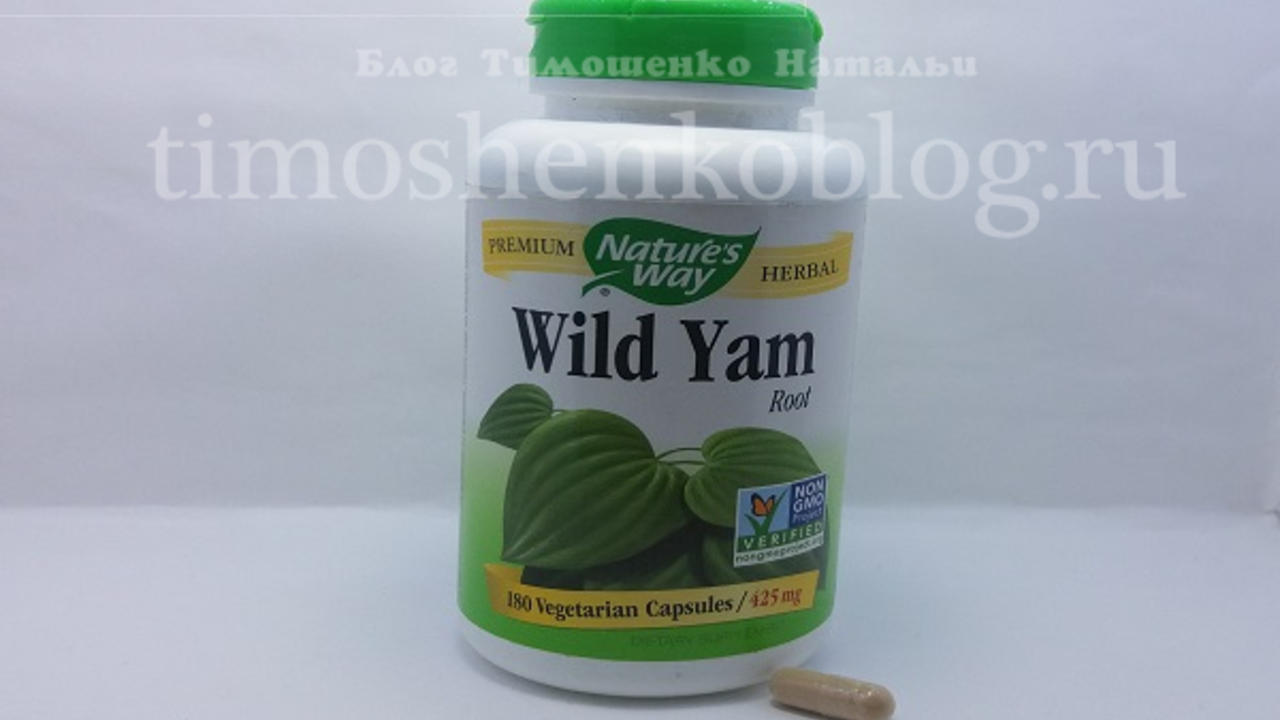 Wild Yam: The Ancient Root with Modern-Day Health Benefits
